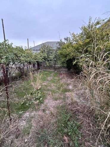 Köhnə tikili: Mingəçevir, 4 otaqlı, Köhnə tikili, 150 kv. m — 11