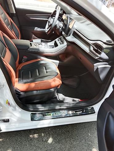 masin salonu: BYD hibrid/elektrik krossover üçün interyer komplekti - Salon: iki — 1