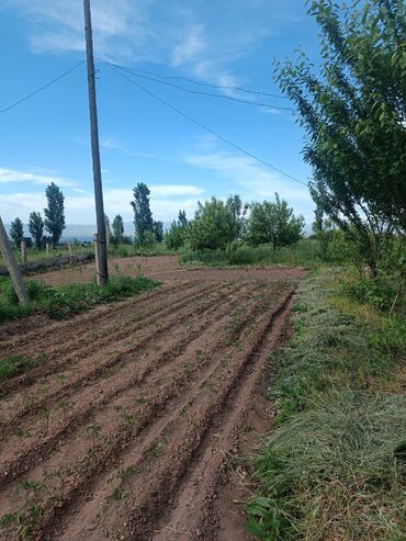 Продажа участков: 120 соток, Для сельского хозяйства, Красная книга — 3