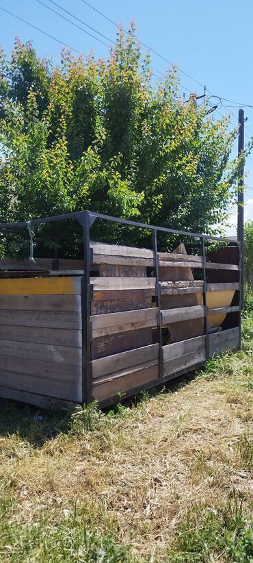 девушки талас: Узуну 480 турасы 220 полдолгон капталында жыгачтар алынып салынат