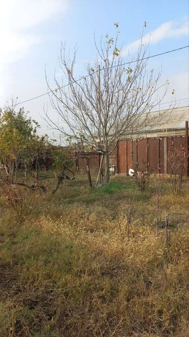 Torpaq sahələrinin satışı: 6 sot, Maklerlər narahat etməsin, Kupça (Çıxarış) — 9