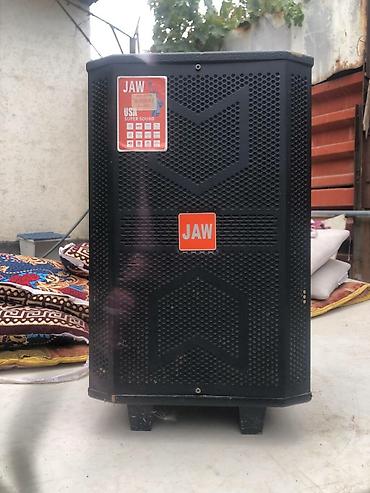 scan: Портативная акустическая система JAW (модель JAW-X8) - Встроенный — 2