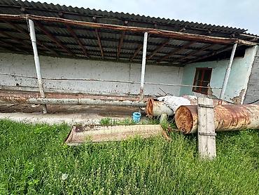 Продажа другой коммерческой недвижимости: 🔥 Фуркат–Мады аймагында инвестициялык мүмкүнчүлүк! 🎥 Видео — 13
