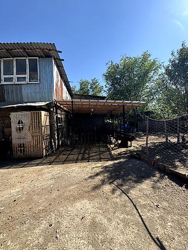 80: 📌В селе Беловодское срочно продаётся дом на участке 10 соток. ▪️Дом — 4