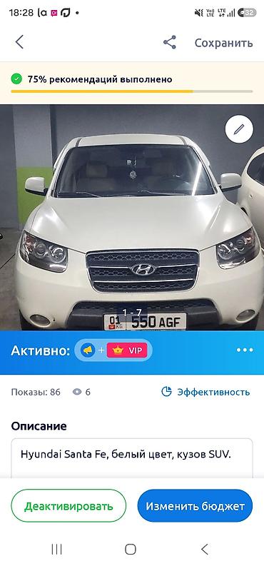 17 225 x 55: Hyundai Santa Fe: 2008 г., 2.2 л, Автомат, Дизель, Кроссовер — 1