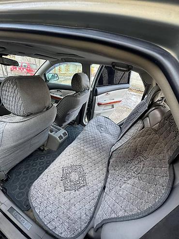 Lexus: Lexus RX: 2003 г., 3.3 л, Автомат, Бензин, Внедорожник — 8