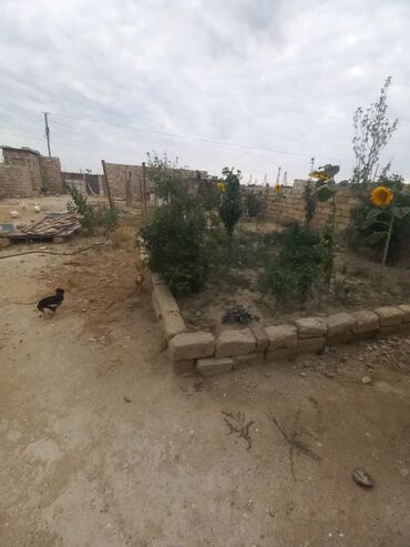 Həyət evləri və villaların satışı: Sabunçu qəs. 5 otaqlı, 140 kv. m, Kredit var, Təmirsiz — 4