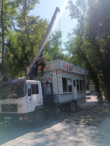 Услуги манипулятора: Стрела 10 м, 5 т, Борт 12000 кг — 20
