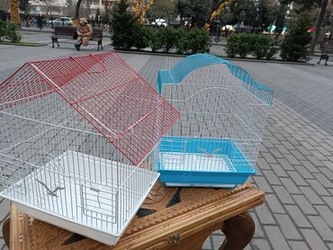 Yemlər: Quş yemləri 1-azn Qırmızı darı topdan 1azn Pərakəndə 1,50azn 1-kq — 14