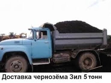 семена павловнии: В тоннах, Бесплатная доставка, Платная доставка, Зил портер
