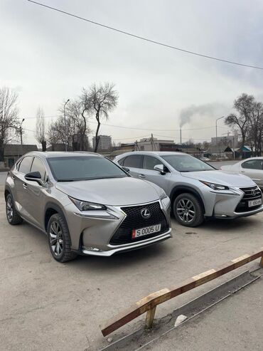 Lexus: Lexus NX: 2016 г., 2 л, Бензин, Внедорожник