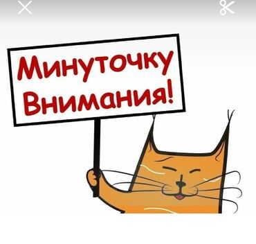швея кок жар: Ищу работу упоковщитцы могу работать.7/21 времени.Хочу поскорее найти