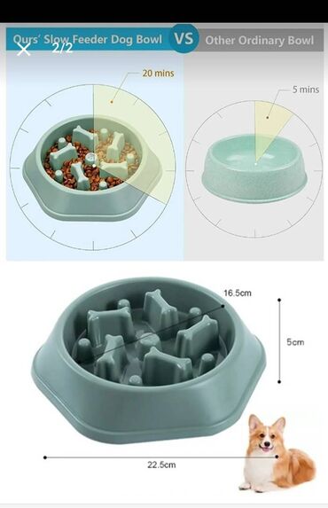 сколько стоит собак: Миска для собак
Параметры на фото