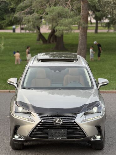 лексус nx 300: Lexus NX: 2018 г., 2 л, Автомат, Бензин, Кроссовер