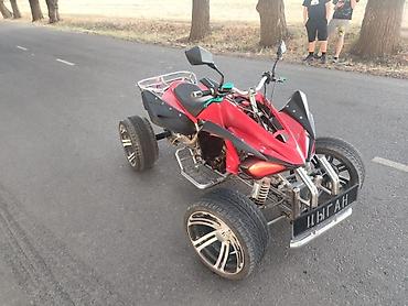 Квадроциклы: Квадроцикл Бензин, 250 куб. см, Взрослый at lalafo.kg — 7 Квадроциклы: Квадроцикл Бензин, 250 куб. см, Взрослый — 7