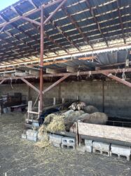 Продажа домов: Дом, 140 м², 5 комнат, Собственник, Евроремонт — 5