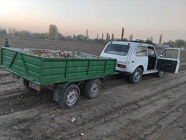 Прицепы и полуприцепы: Прицеп, Б/у — 16