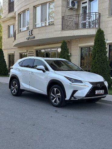 субару аутбек седан: Lexus NX: 2019 г., 2 л, Автомат, Бензин, Кроссовер