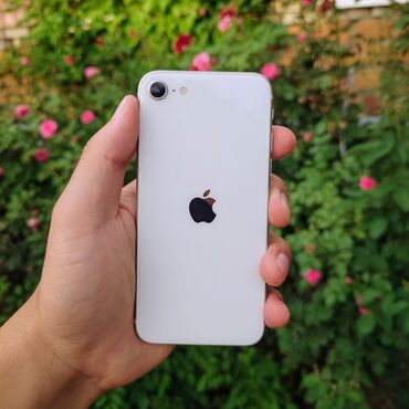 телефон айфон se: IPhone SE 2022, Колдонулган, 64 ГБ, Каптама, Кабель, 100 %