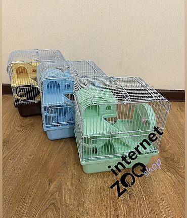 Хомяки: Продаются хомячки джунгарские, сирийские, ангорские пушистые хомячки — 28