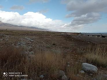 Продажа участков: 30 соток, Красная книга — 6