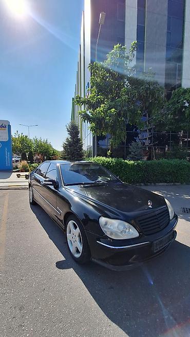 mersedes milenium: Mercedes-Benz S-Class: 2005 г., 5 л, Автомат, Бензин, Седан — 7