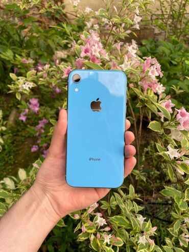 xr дисплей: IPhone Xr, Б/у, 64 ГБ, Синий, 76 %