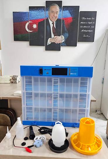 İnkubatorlar: Çin, Fabrik istehsalı, Tam avtomat, Bütün növ quşlar üçün — 4