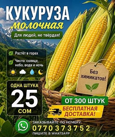 Кукуруза В розницу, Бесплатная доставка