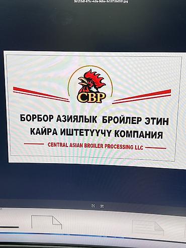 Жарнама, печать: | Көрнөктөр, Көлөмдүү тамгалар, Баннерлер, | Демонтаждоо, Монтаждоо, Дизайнды иштеп чыгуу — 2