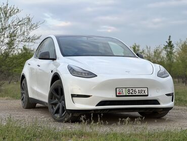машина саларис: Эта машина удивит самого искушенного Tesla model y long range 4wd
