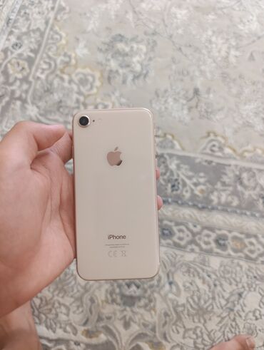 фай фай: IPhone 8, Б/у, 64 ГБ, 100 %