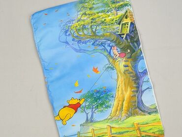 Home Decor: PL - Pillowcase, 43 x 30, color - Multicolored, condition - Perfect