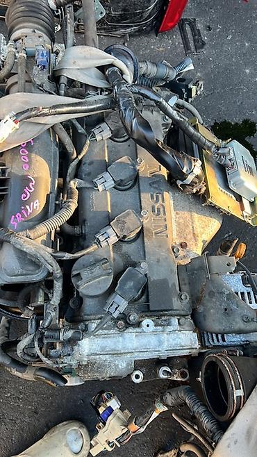 Амортизаторы, пневмобаллоны: Комплект амортизаторов Toyota Япония — 5