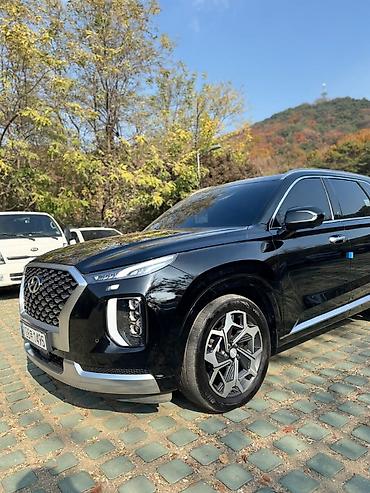 Hyundai: Hyundai Palisade: 2020 г., Бензин, Кроссовер — 8