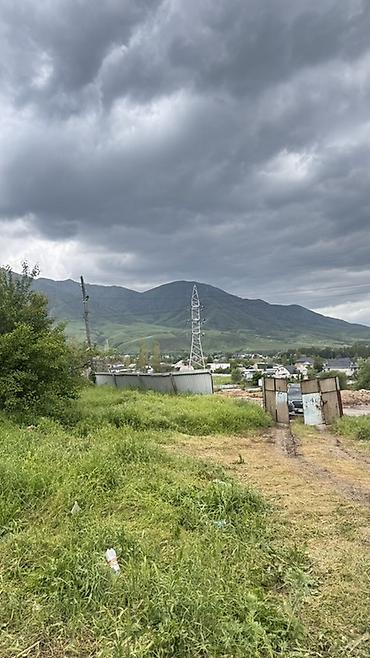 кой таше: 12 соток, Для строительства, Красная книга, Договор купли-продажи — 4
