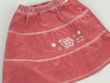 spódniczka plisowana allegro: Skirt, 2-3 years, 92-98 cm, condition - Good