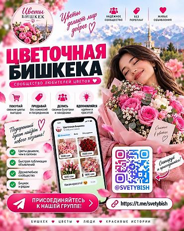 цветы отдам даром: Перепродажа цветов Бишкек, продать цветы Бишкек быстро или купить — 1