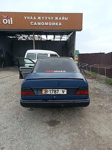 mersedes e class: Mercedes-Benz W124: 1989 г. — 3