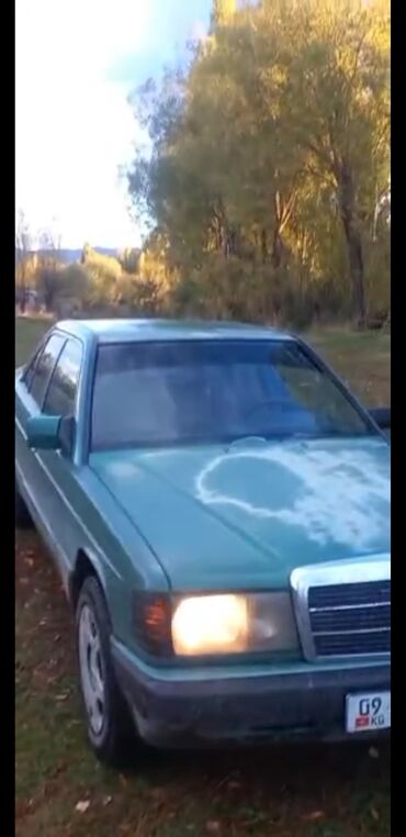 Mercedes-Benz: Mercedes-Benz 190: 1991 г., 1.9 л, Механика, Бензин — 2