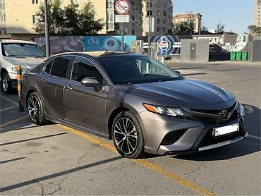дамкрат авто: Toyota Camry: 2020 г., 2.5 л, Автомат, Бензин, Седан — 2