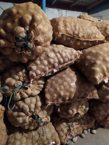 цена картошки в бишкеке: Картошка кг, можно для скатины можно самим кушать, срочно