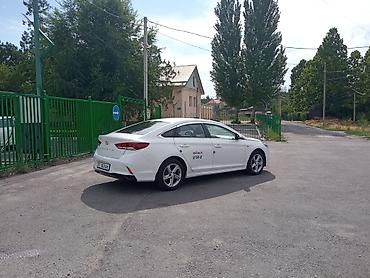 sonata uf: Hyundai Sonata: 2020 г., 2 л, Автомат, Газ, Седан — 4