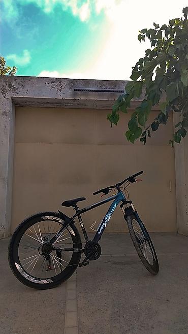 velosiped sadə: Velosiped – Velostrim (MTB tipli) 29 lu Velostrim yaxşı vəziyyətdədir — 2