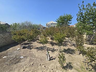 Torpaq sahələrinin satışı: Tikinti, Mülkiyyətçi -da lalafo.az — 7 Torpaq sahələrinin satışı: Tikinti, Mülkiyyətçi — 7
