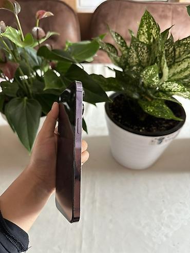 мереке видео: IPhone 14 Pro, Колдонулган, 256 ГБ, Deep Purple, 81 % — 3