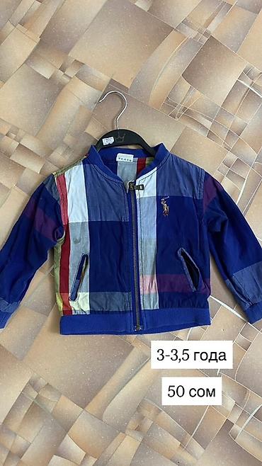 Топы и рубашки: Рубашка — 8