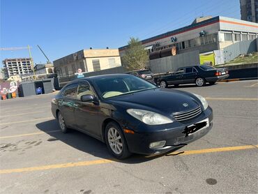 амортизатор передний дэу нексия: Toyota Windom: 2001 г., 3 л, Типтроник, Бензин, Седан