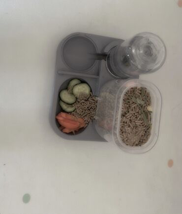 Декоративные кролики: Полный набор для содержания декоративного кролика. В комплекте: - — 21