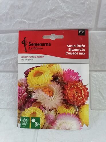 Semena i sadnice: Cena 500din/kesica — 3